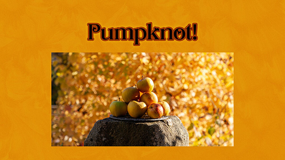Pumpkin or Pumpknot image number 3